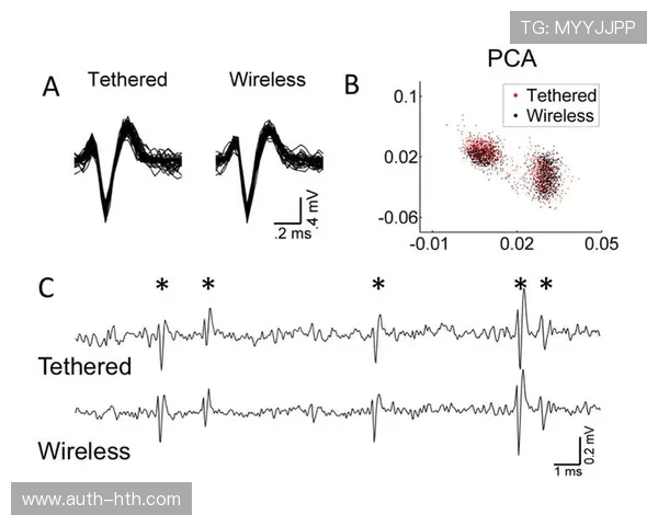 传感器网络持续扩容,实现运动员生理数据毫秒级采集 传感器网络持续扩容,实现运动员生理数据毫秒级采集